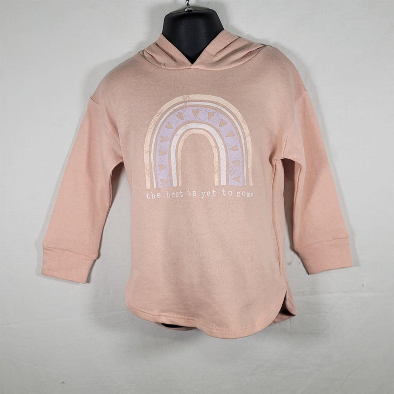 Load image into Gallery viewer, Grayson Mini Pullover Graphic Hoodie Shirt Girls Pink 3T Shop Now at Rainy Day Deliveries
