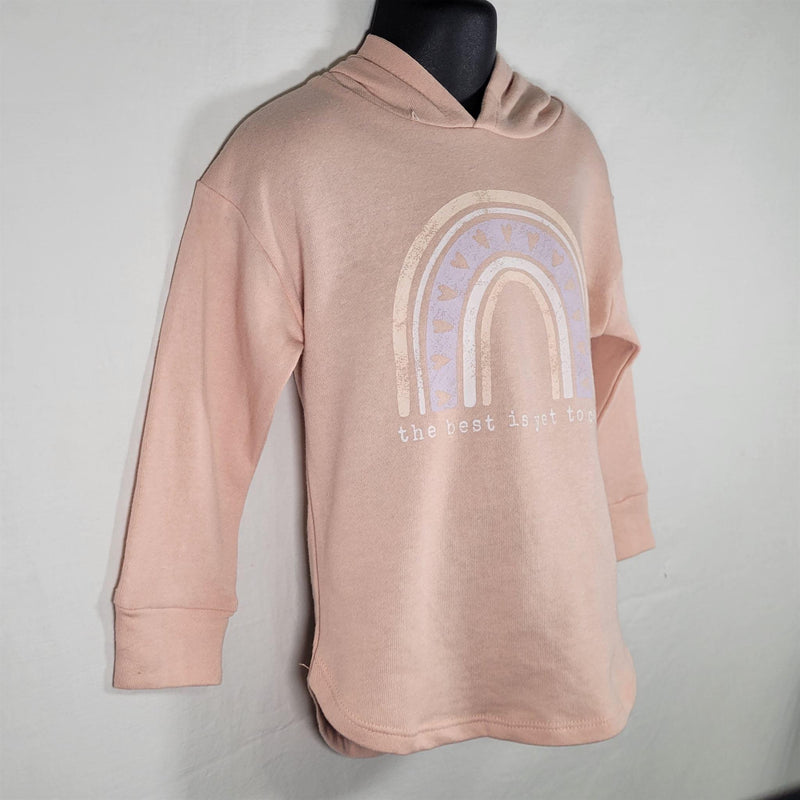 Load image into Gallery viewer, Grayson Mini Pullover Graphic Hoodie Shirt Girls Pink 3T Shop Now at Rainy Day Deliveries
