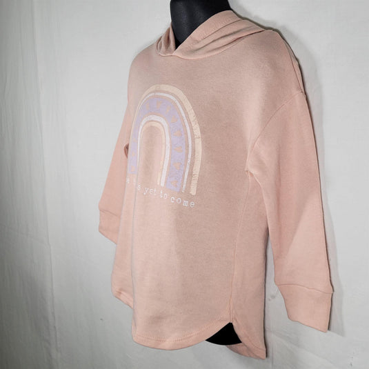 Grayson Mini Pullover Graphic Hoodie Shirt Girls Pink 3T Shop Now at Rainy Day Deliveries